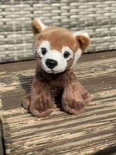 Cute red panda for sale  UK