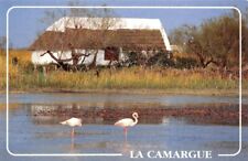 Camargue maison jeu d'occasion  France