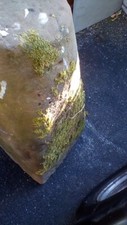 antique saddle stones for sale antique saddle stones for sale SOLIHULL
