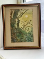 Beautiful vintage framed for sale  BRIDGNORTH