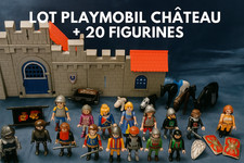 Lot playmobil moyen d'occasion  Pont-Audemer