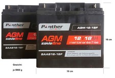 Panther akkus agm gebraucht kaufen  Detmold