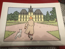 Libris tintin milou d'occasion  Aix-les-Bains