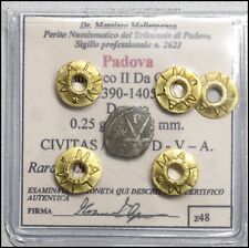 Padova francesco carrara usato  Due Carrare