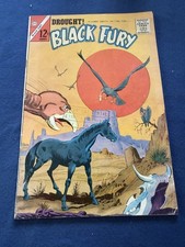 Charlton black fury for sale  LEEDS