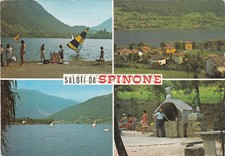 Spinone saluti vedute usato  Roma
