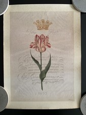 Usado, Impressão litográfica assinada "Tulipa Royale 1652" por Shelley Hely comprar usado  Enviando para Brazil