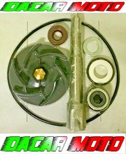 Kit pompa acqua usato  Napoli
