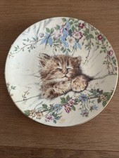 Royal worcester kitten for sale  CHESTERFIELD