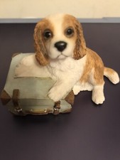 Sherratt simpson cavalier for sale  Belmont