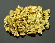 Alaskan yukon gold for sale  Oroville