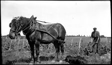 Drafthorse worker portrait d'occasion  Expédié en Belgium