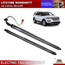 2pcs rear tailgate for sale  USA