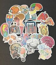 Human anatomy vinyl for sale  Portland