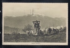 Cartolina pascoli biellesi usato  Italia