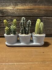 Three faux succulents for sale  Phoenix