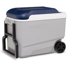 Igloo cooler maxcold for sale  WIRRAL
