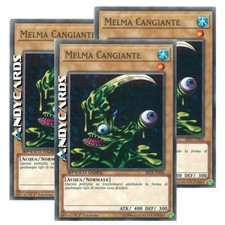 Melma cangiante comune usato  Ravenna