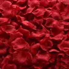 100pz petali rosa usato  Arzano