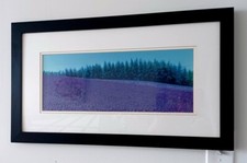 Lavender field wall for sale  Far Rockaway