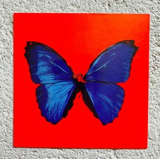 Damien hirst converse d'occasion Damien hirst converse d'occasion  Paris X