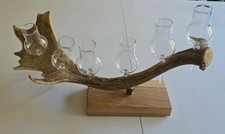 Schnapsständer damwild geweih gebraucht kaufen Schnapsständer damwild geweih gebraucht kaufen  Engelskirchen