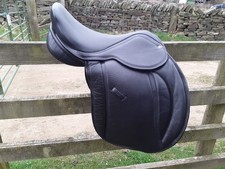 Pony cob horse for sale  HOLMFIRTH