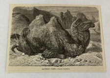 1885 book engraving for sale  Wilmington