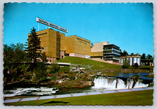Postcard olympia brewing for sale  Fort Collins