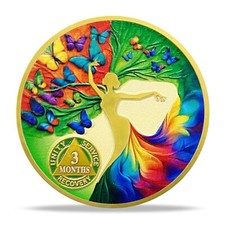 Moeda Sobriety de 3 Meses AA Chips Medalhões Recuperação Presentes Sóbrios para Homens Mulheres comprar usado  Enviando para Brazil