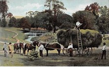 Agriculture 69949 ramassage d'occasion  France