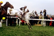 Desert orchid simon for sale  LEEDS