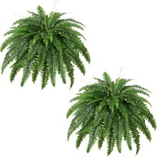 Artificial boston fern for sale  Gulf Shores