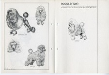 Poodle toy 1978 for sale  COLEFORD