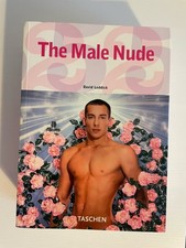 Male nude david for sale  LONDON