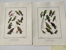 Eckelberry signed caribbean for sale  Hope Valley