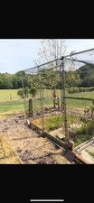 Walk fruit cage for sale  TENTERDEN