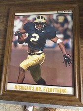 everything frame for sale  Warren