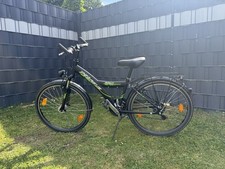Pegasus avanti jungen gebraucht kaufen  Schwerte