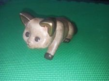 Raro gatto gattino usato  Desio
