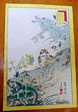 Rare nakayama sugakudo for sale  CANTERBURY