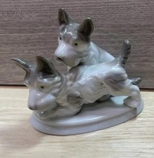 German terrier schnauzer for sale  Soquel