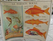Ancienne affiche carte d'occasion  France