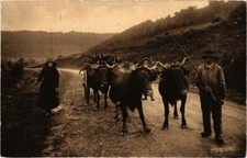 Old postcard auvergne d'occasion  Expédié en Belgium