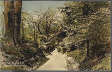 Superb old postcard for sale  UK