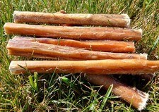 Buffalo beef pizzle for sale  UK