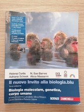 Nuovo invito alla usato  Fucecchio