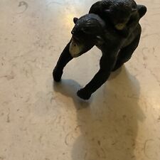 Chimpanzee chimp monkey for sale  RUSHDEN