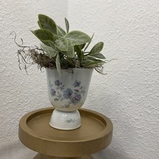 Vtg limoges bernardaud for sale  Rohnert Park