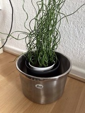 blumentopf edelstahl gebraucht kaufen blumentopf edelstahl gebraucht kaufen Braunschweig